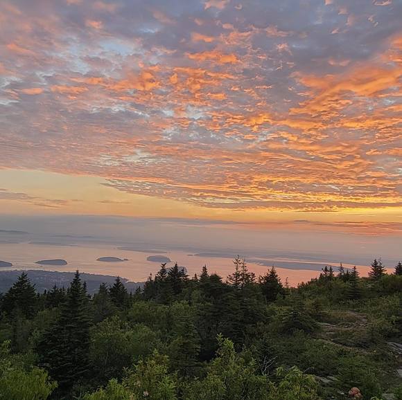 Meet your Posher, David - Picture 1 of 1